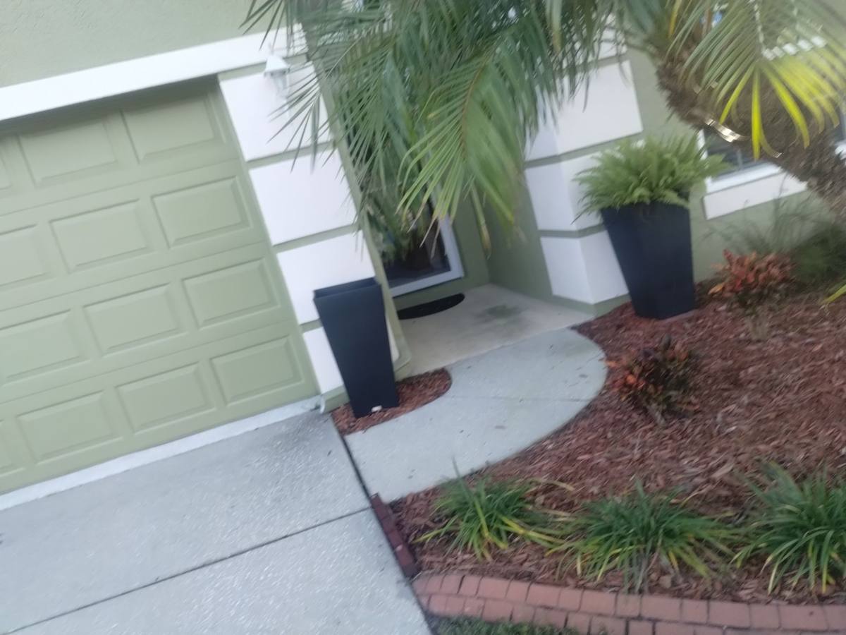 roof replacement in Land O' Lakes, Florida