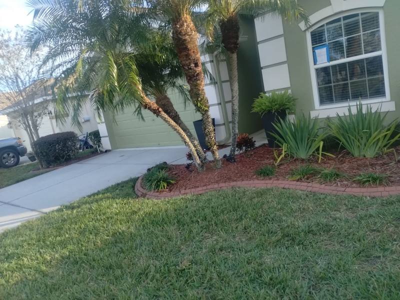 completed roofing project in Land O' Lakes FL