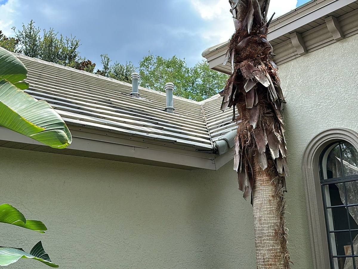 roof replacement in Lutz, Florida