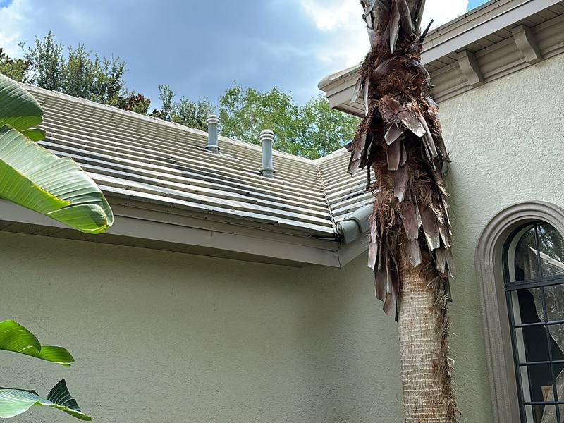 completed roofing project in Lutz FL