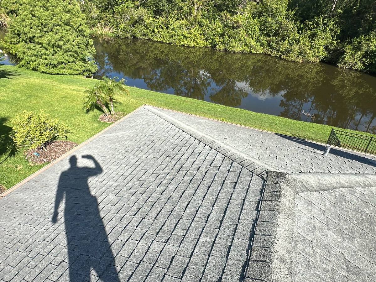 roof replacement in Tampa, Florida