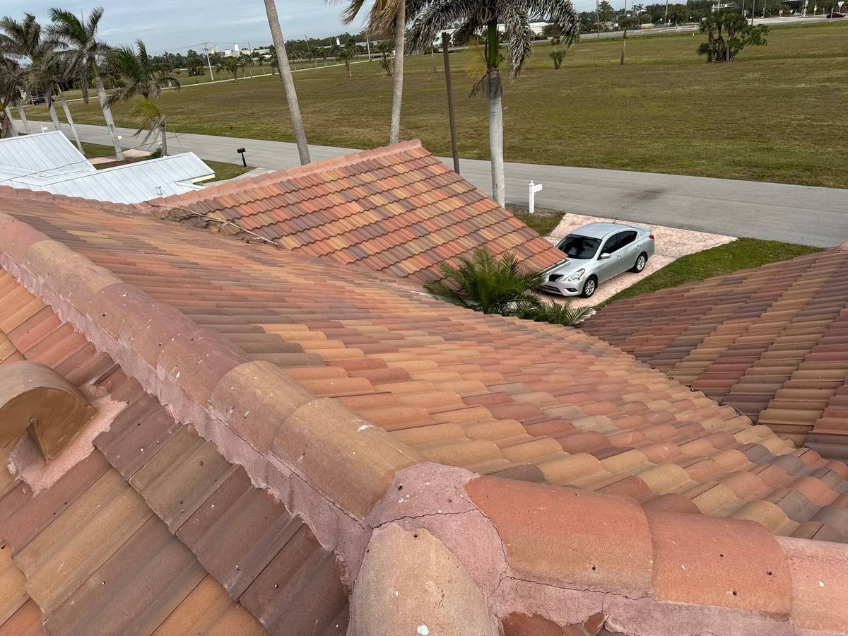 roof replacement in Punta Gorda, Florida