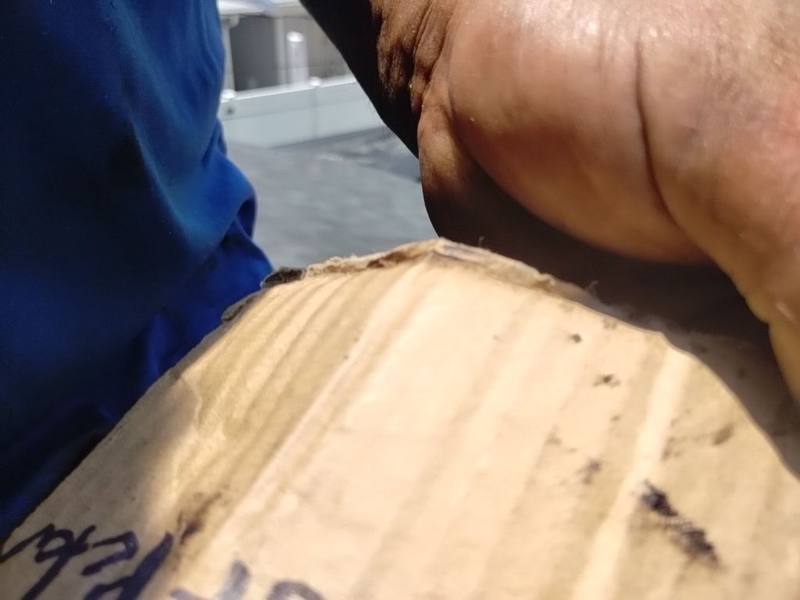 roof replacement in St. Petersburg, Florida