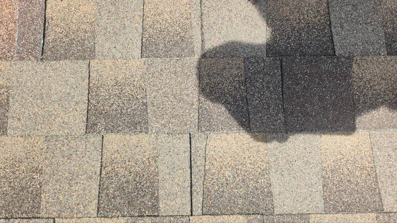 roofing project near Amanda Oak Ct in Land O' Lakes