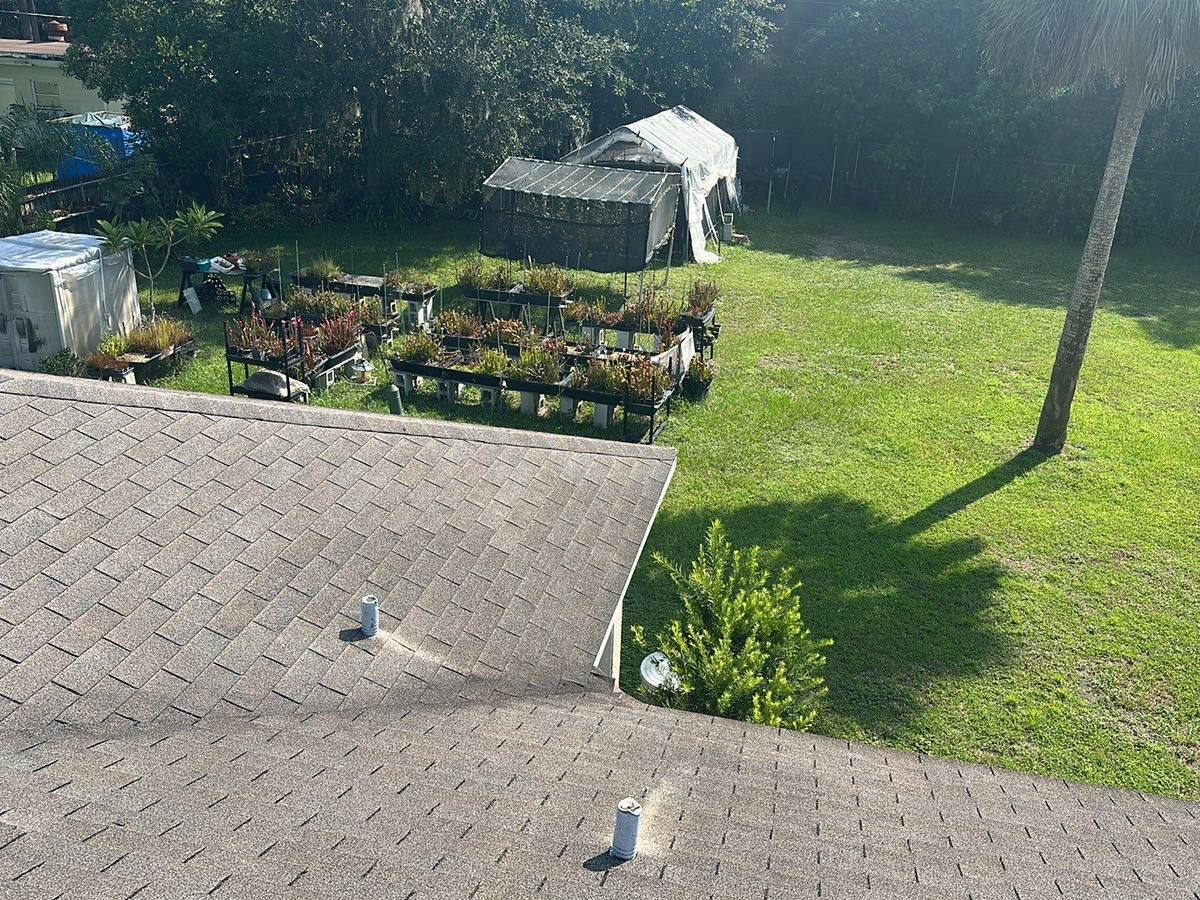 roof replacement in Lutz, Florida