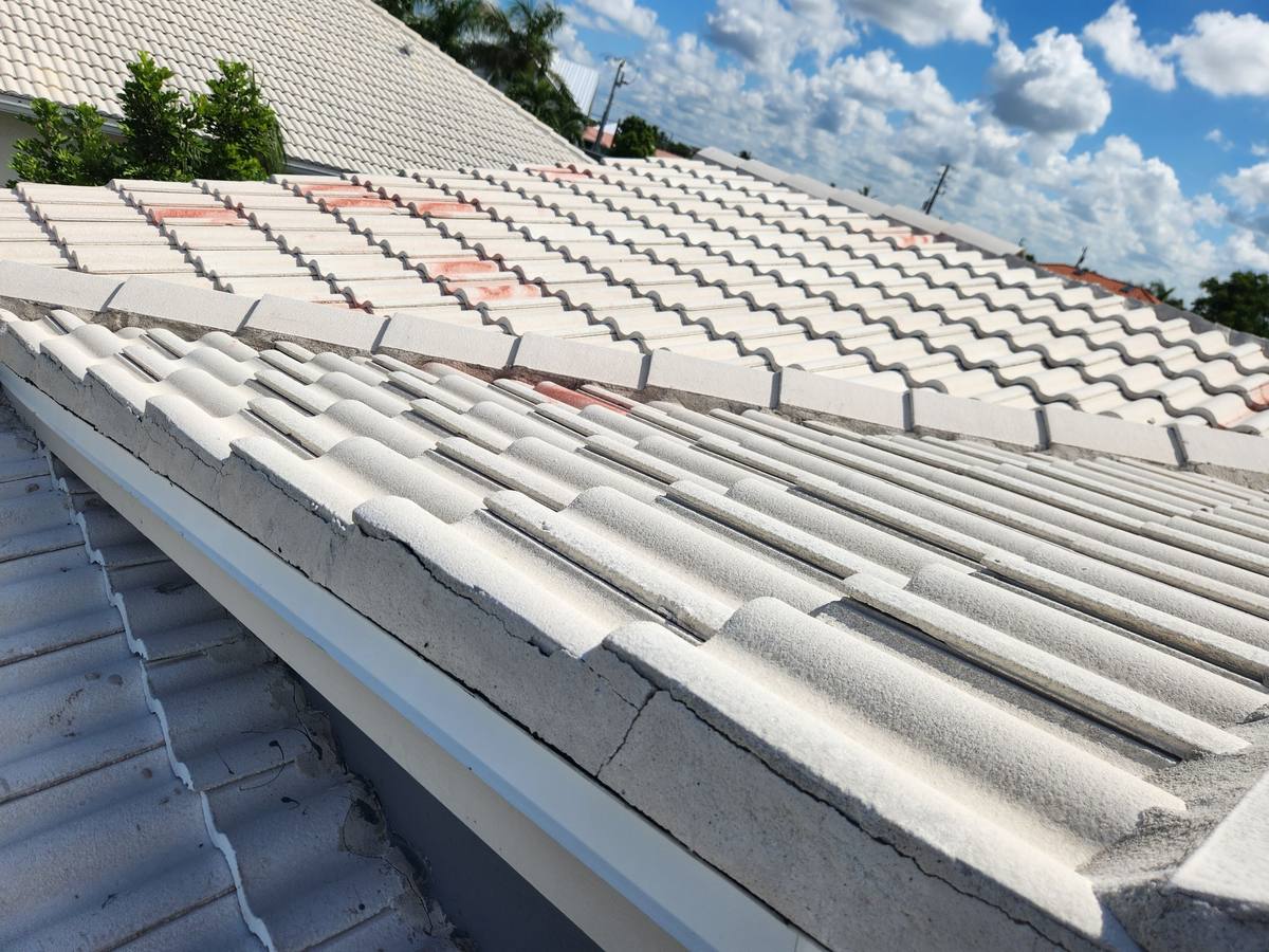 roof replacement in Punta Gorda, Florida