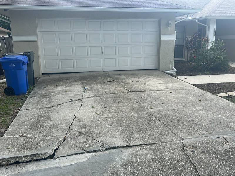 roofing project near Tarragon Dr in Riverview