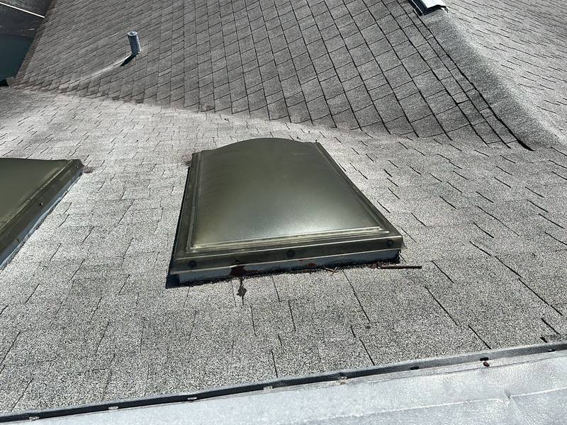 roof replacement in Palm Harbor, Florida