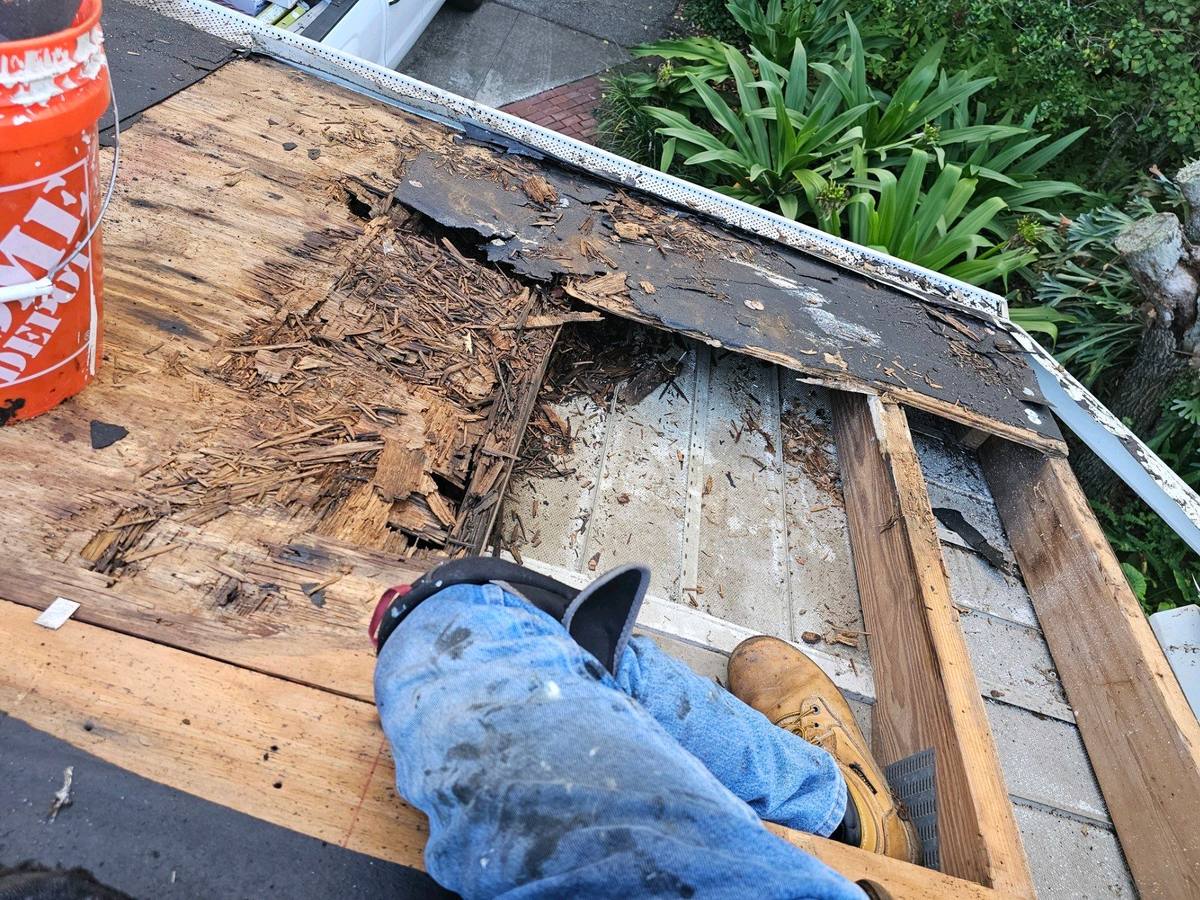 roof replacement in Tarpon Springs, Florida