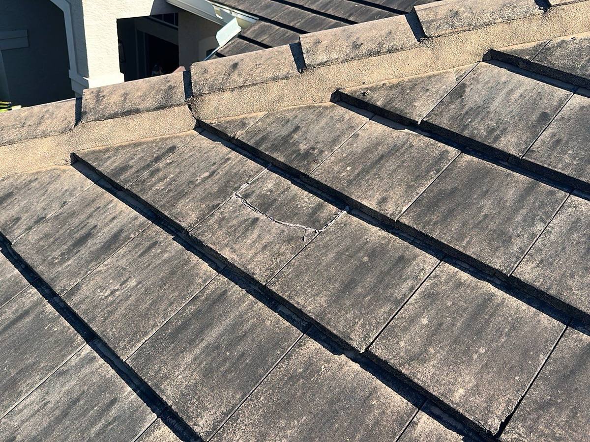 roof replacement in Sarasota, Florida