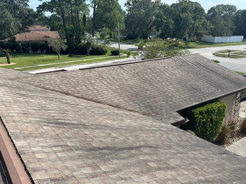 roofing project near Foggy Ridge Pkwy in Lutz