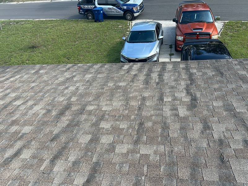 roofing project near Meridel Ave in Tampa