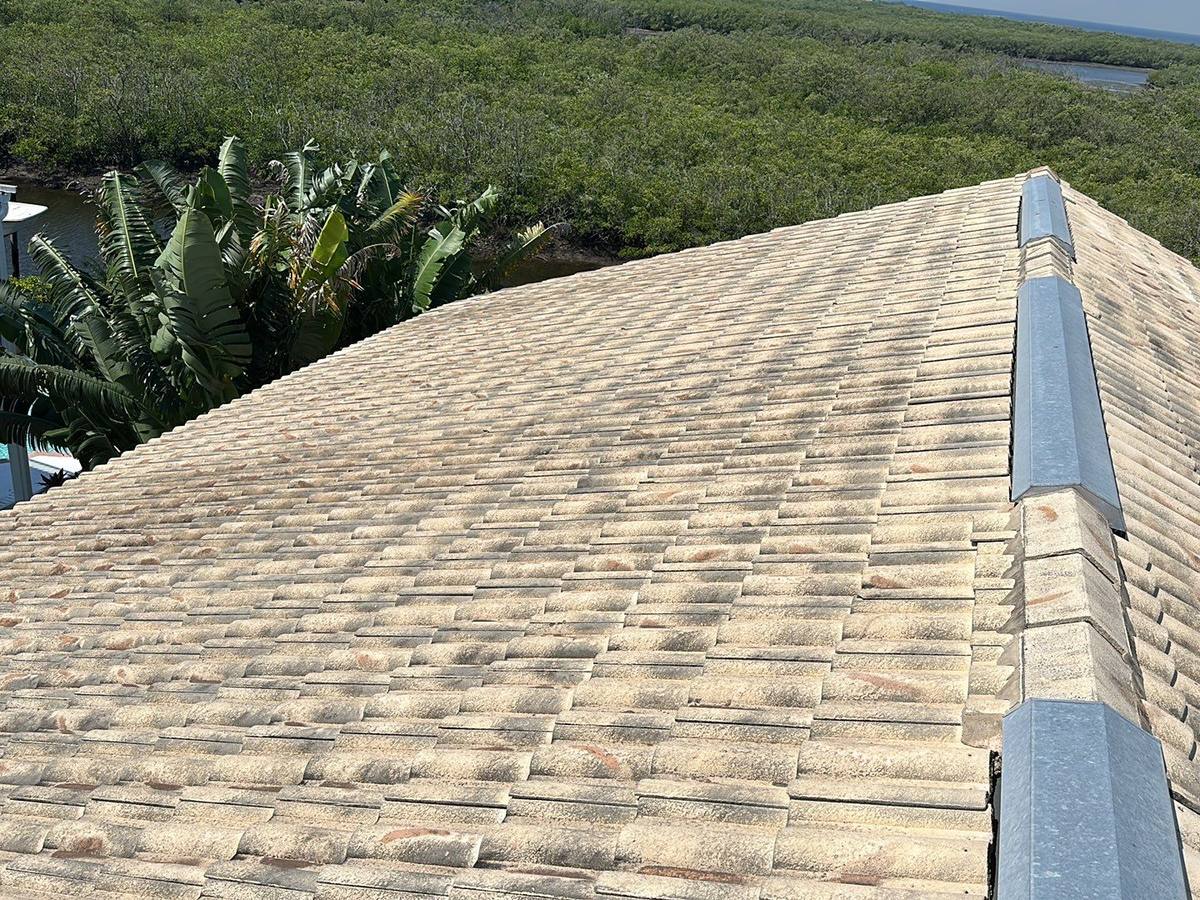 roof replacement in Port Richey, Florida