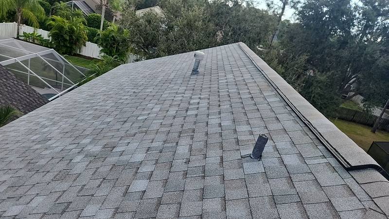 roof replacement in Tampa, Florida