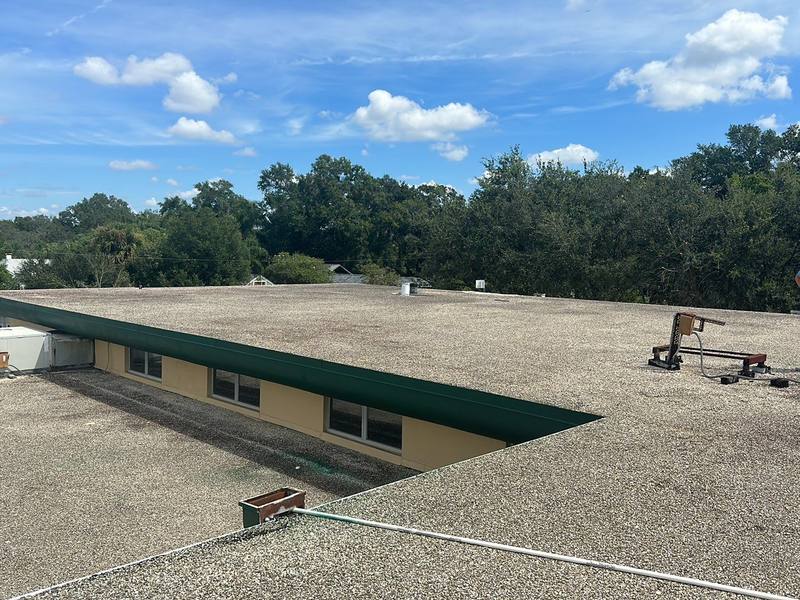 roof replacement in Tampa, Florida