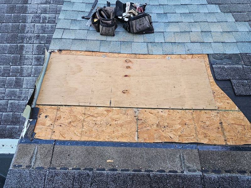 roofing project near Wild Meadow Way in Tampa
