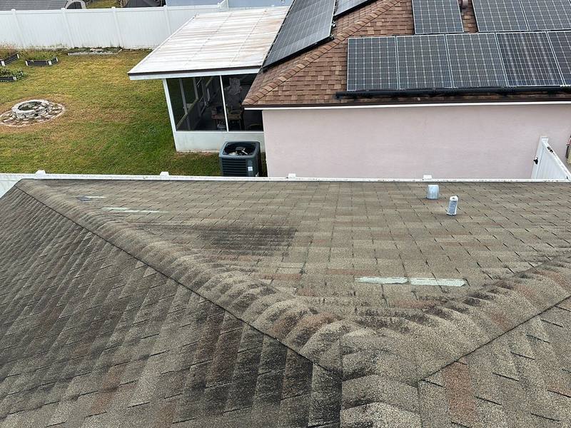 residential shingle roof replacement by Hloska Roofing in Wesley Chapel