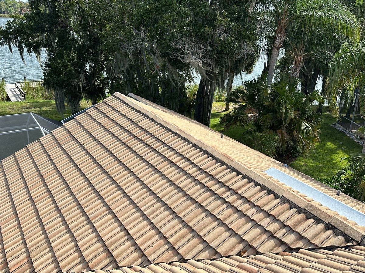 roof replacement in Tarpon Springs, Florida