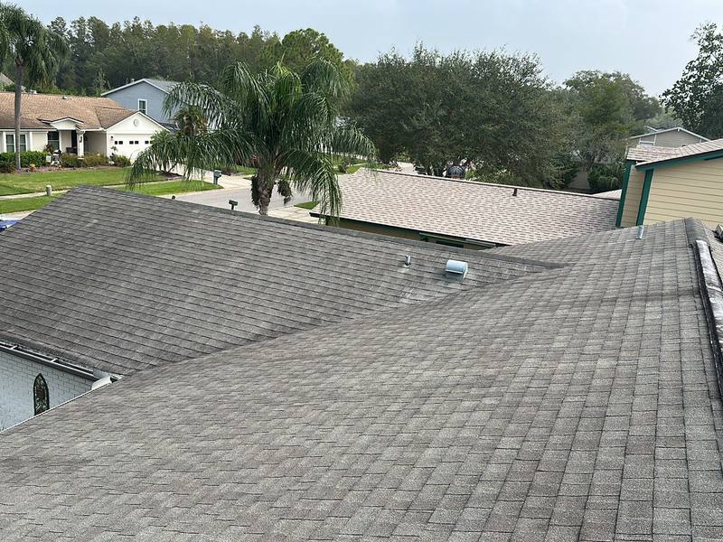 residential shingle roof replacement by Hloska Roofing in Tampa