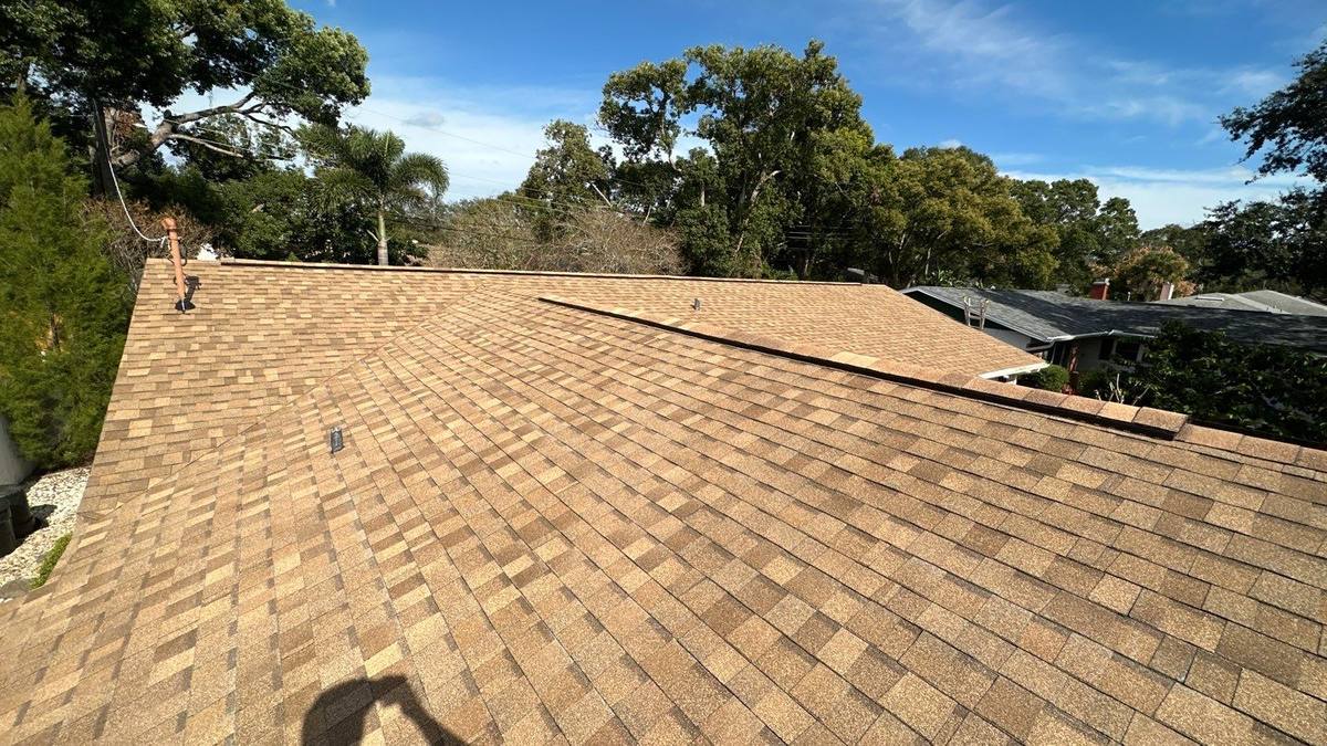 shingle roof replacement in Tampa, Florida