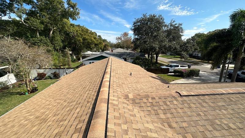 shingle roof replacement in Tampa, Florida