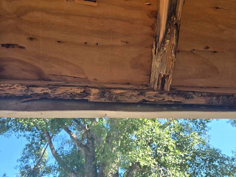residential roof replacement by Hloska Roofing in Tampa