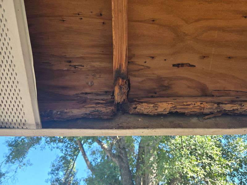 roofing project near E. Wilma Street in Tampa