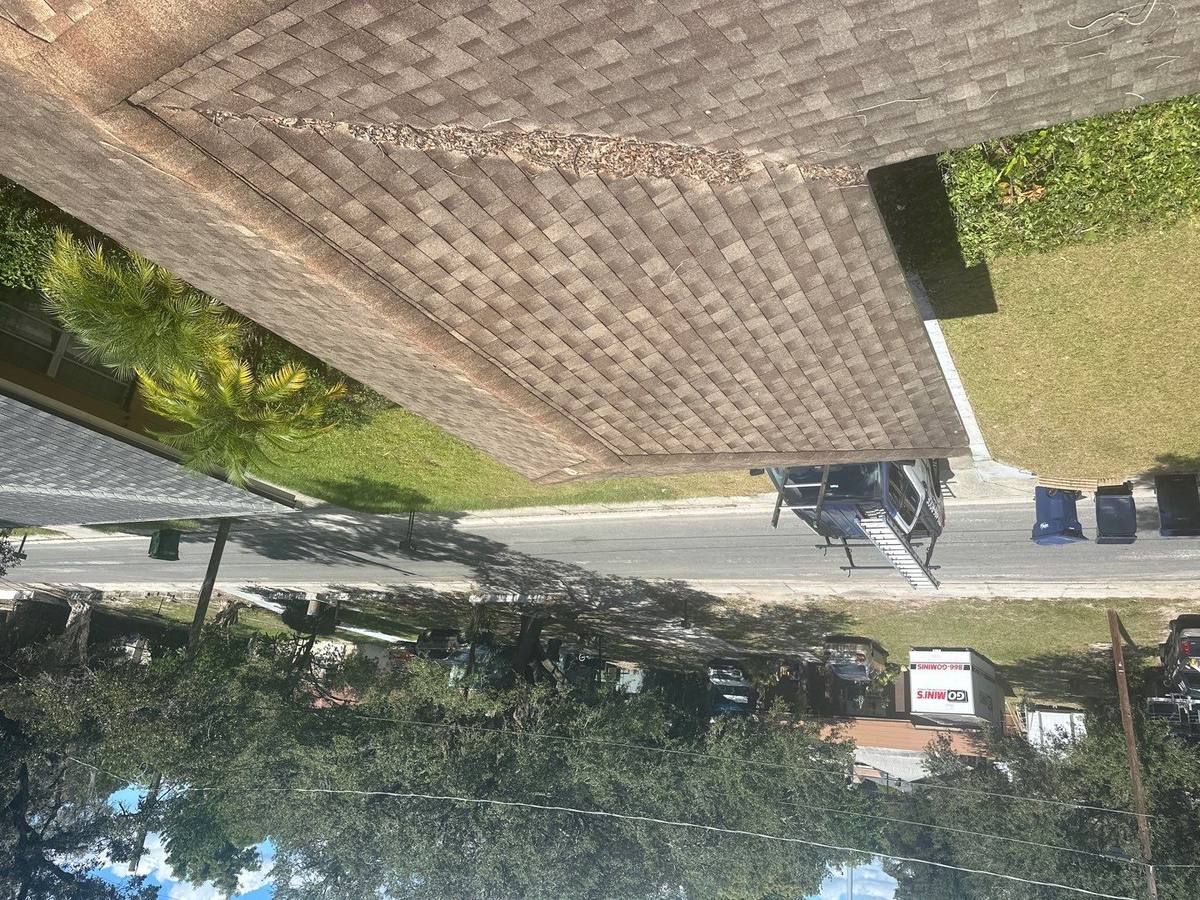 roof replacement in Tampa, Florida