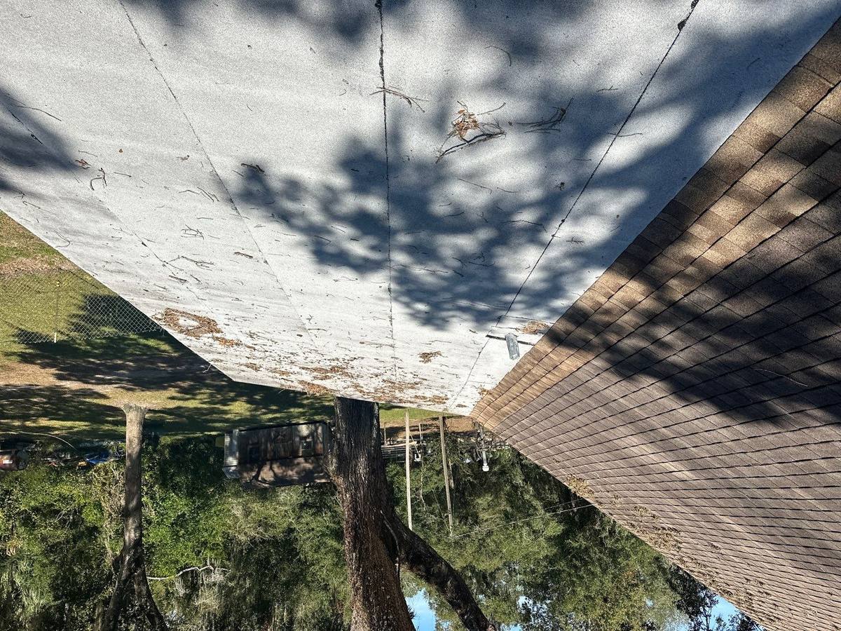 roof replacement in Brooksville, Florida