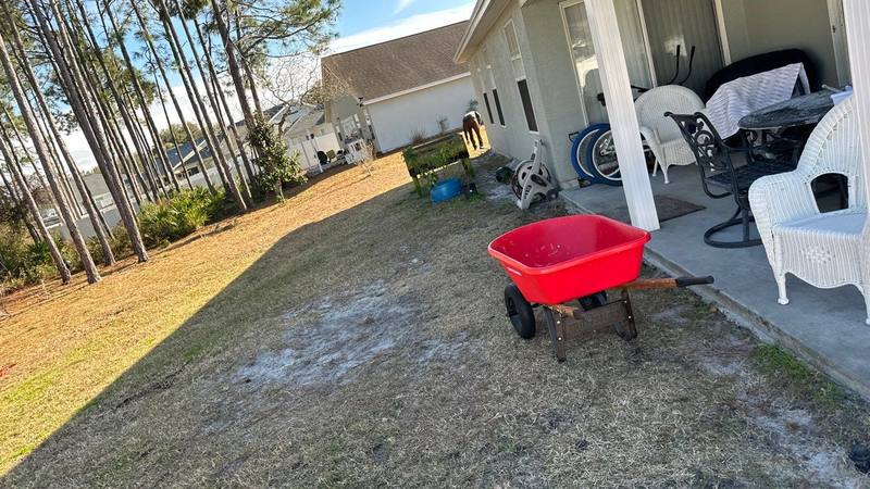 roof replacement in Panama City Beach, Florida