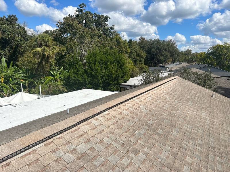 roof replacement in New Port Richey, Florida