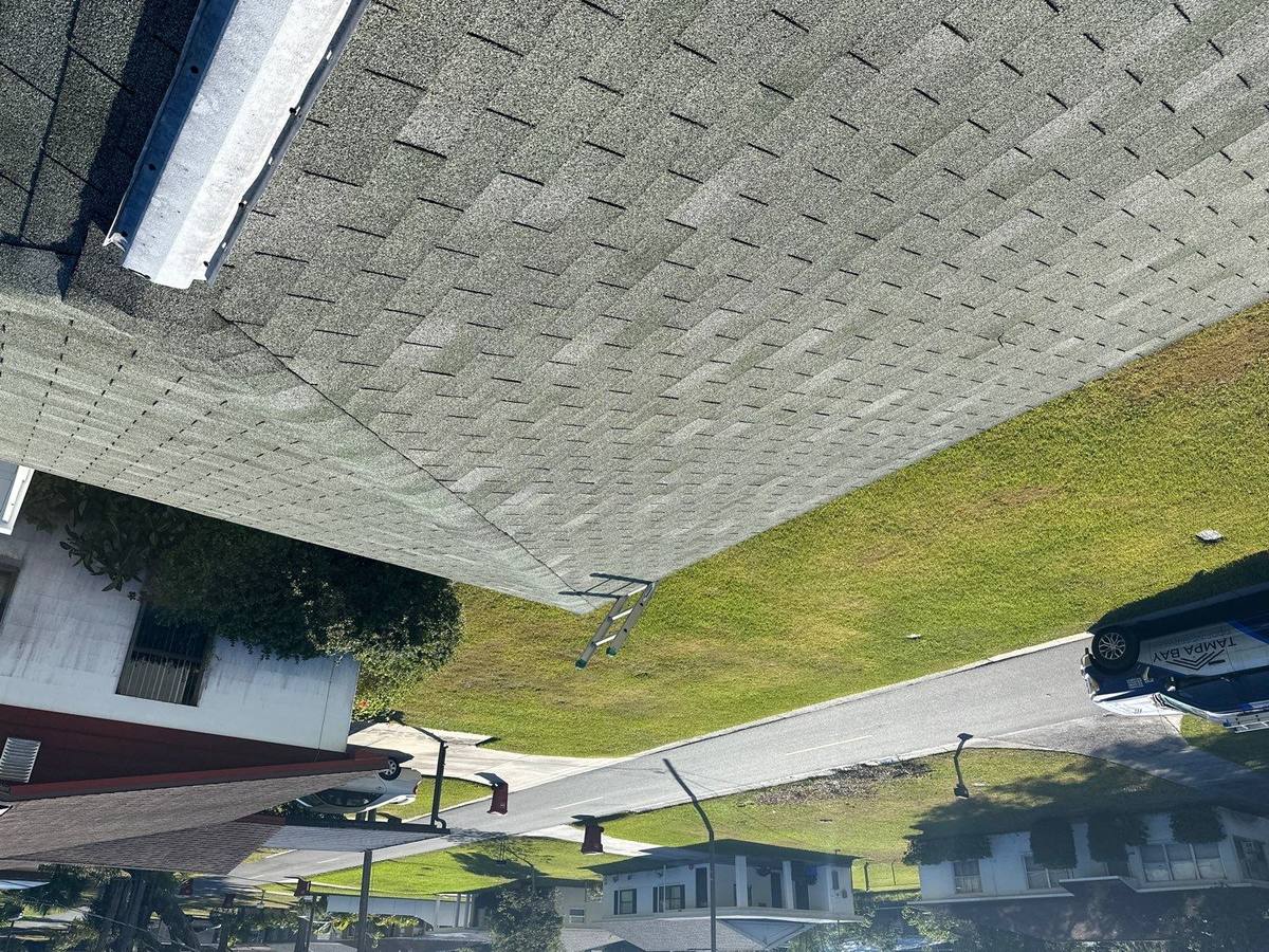 shingle roof replacement in Plant City, Florida