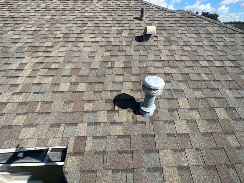 roof replacement in Trinity, Florida