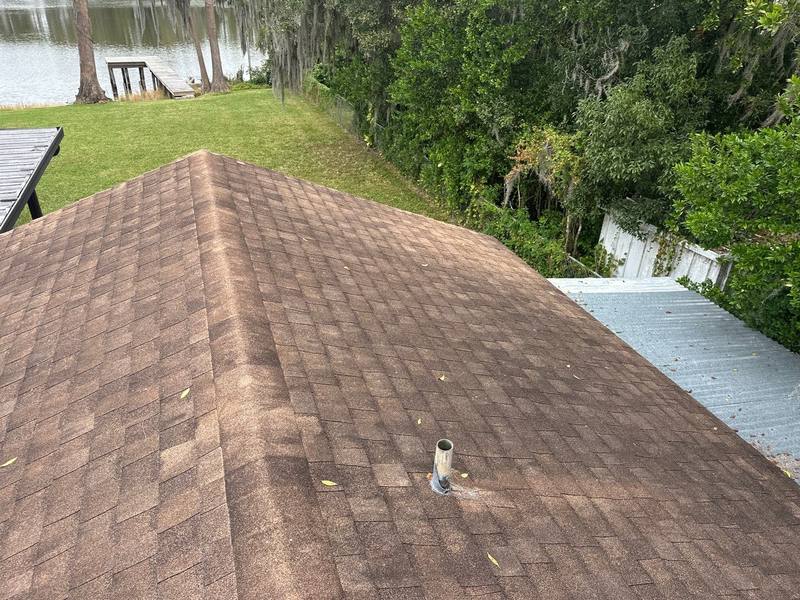 roof replacement in Lutz, Florida