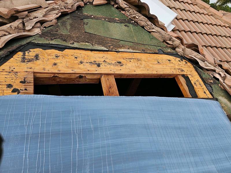 residential roof replacement by Hloska Roofing in Venice