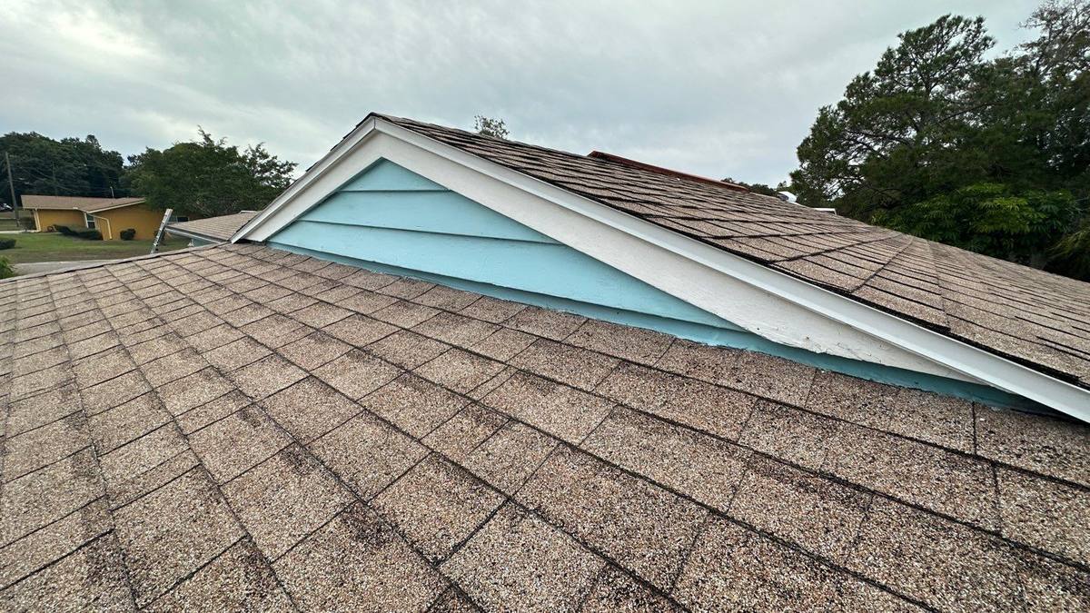 roof replacement in St. Petersburg, Florida