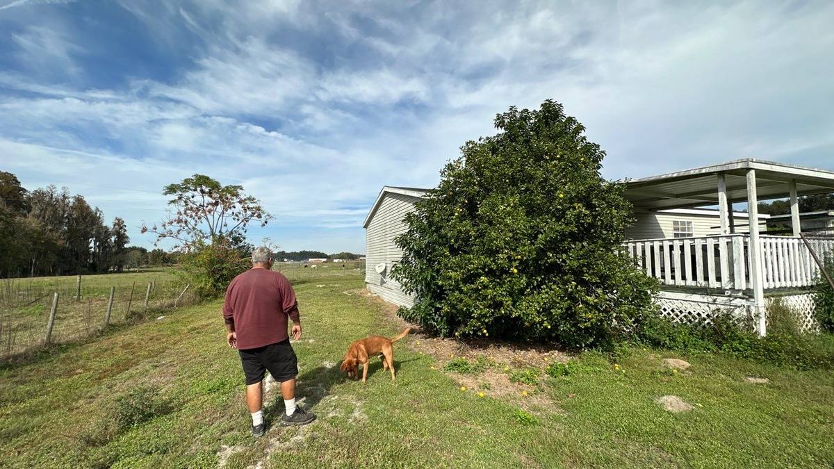 roof replacement in Thonotosassa, Florida