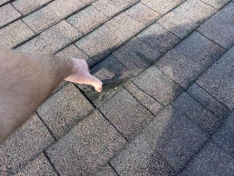 roofing project near Salisbury Ct in Palm Harbor