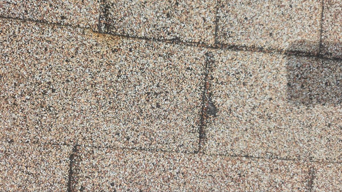 roof replacement in Port St. Lucie, Florida