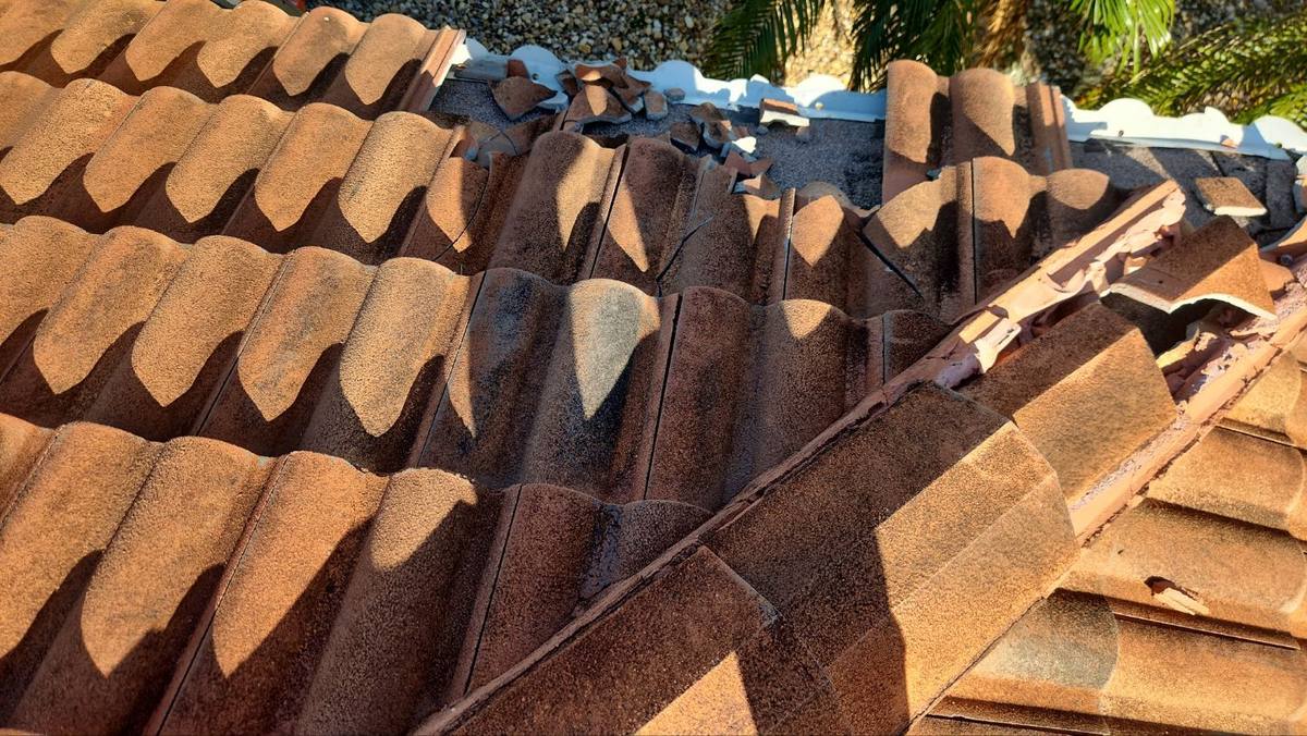 roof replacement in Venice, Florida