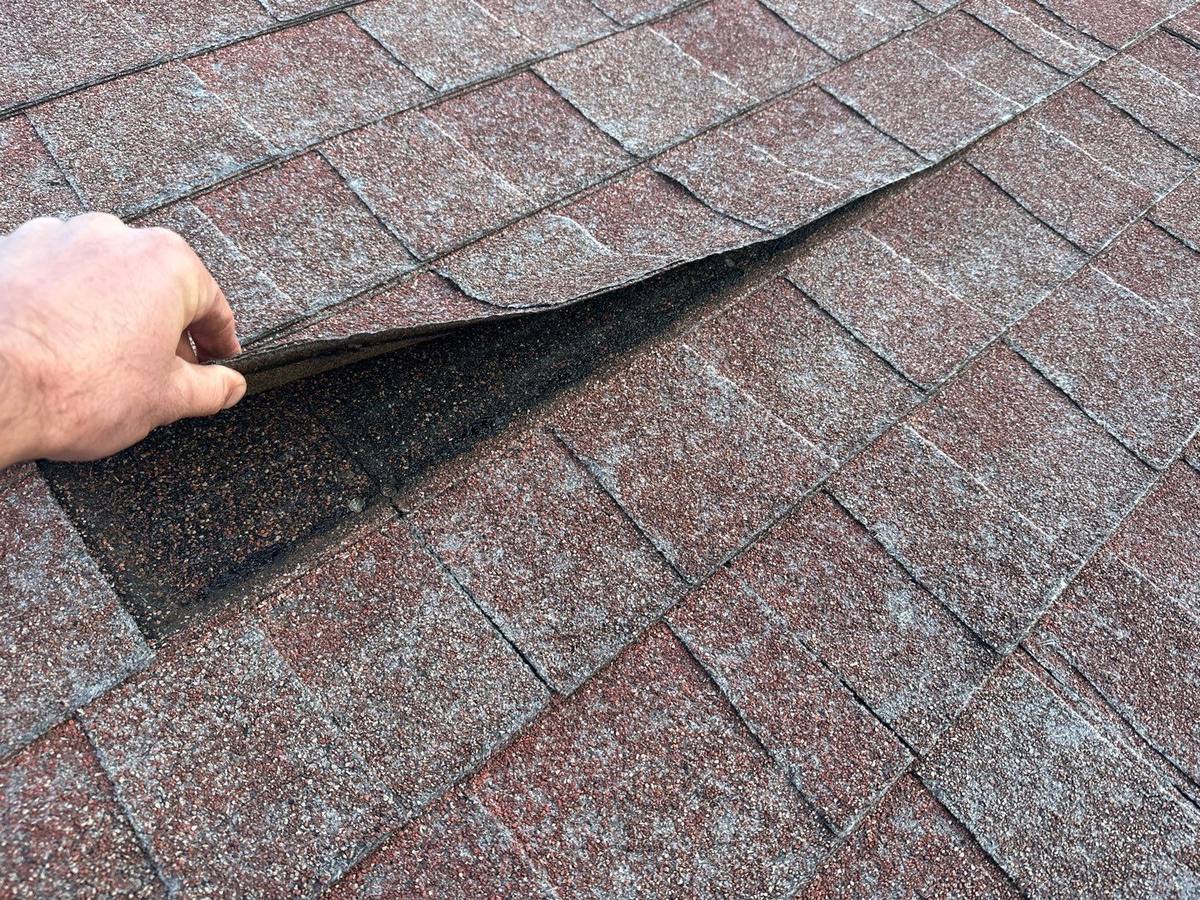 roof replacement in Land O' Lakes, Florida