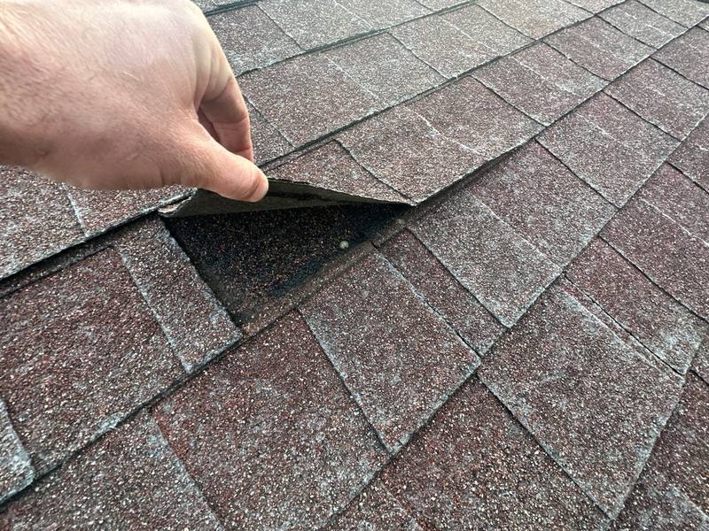 completed roofing project in Land O' Lakes FL