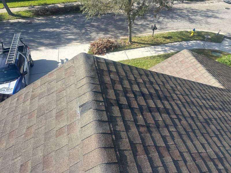 residential shingle roof replacement by Hloska Roofing in Tampa