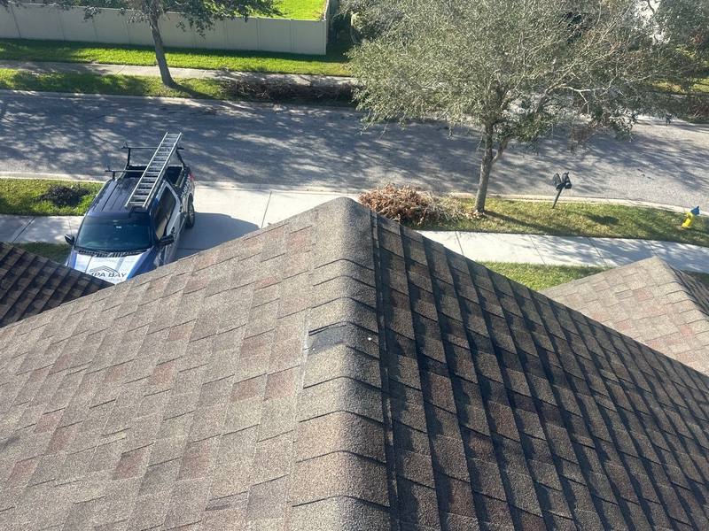 residential shingle roof replacement by Hloska Roofing in Tampa