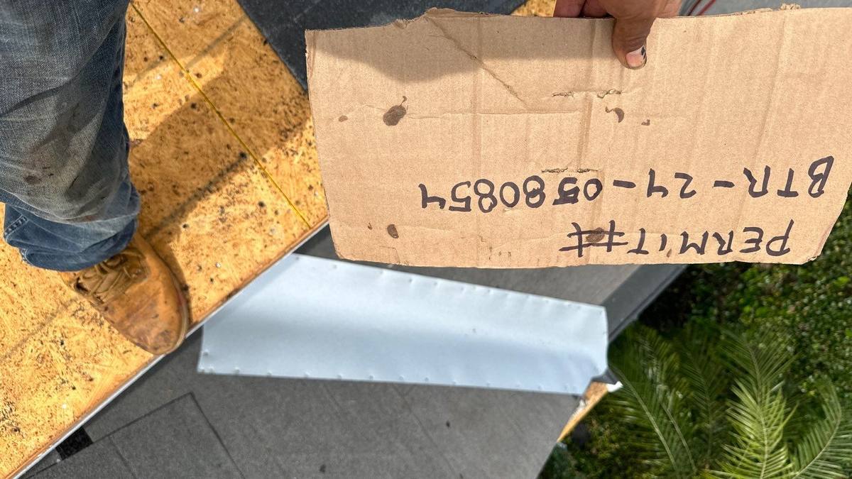 shingle roof replacement in Tampa, Florida