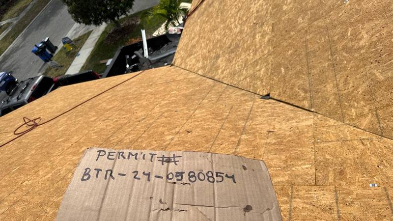 shingle roof replacement in Tampa, Florida