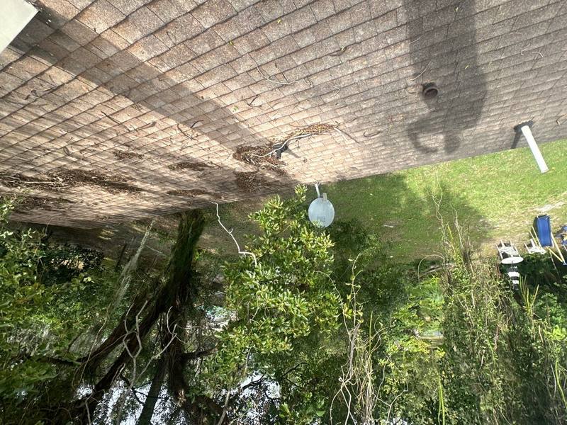 roof replacement in Lakeland, Florida