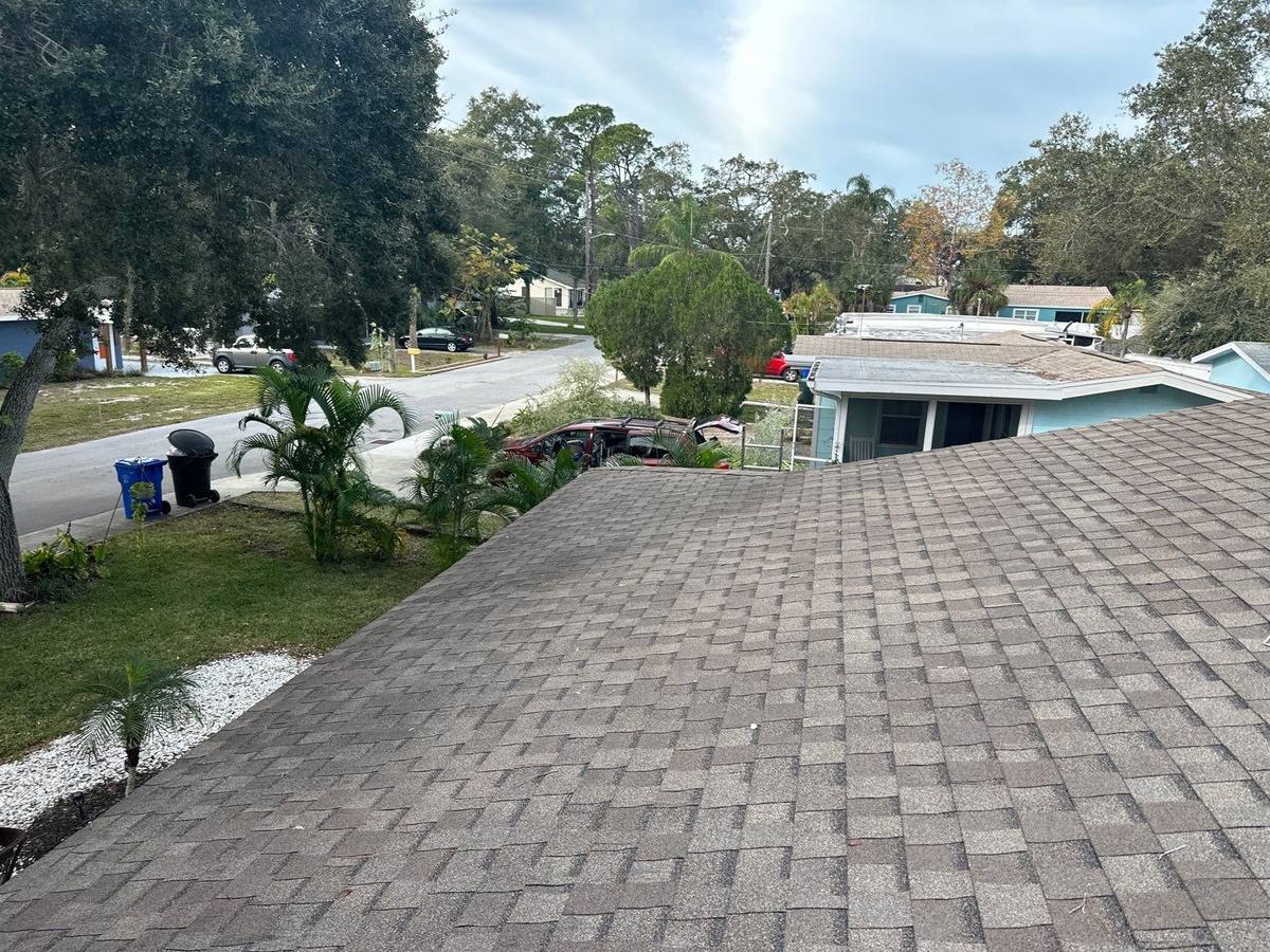 shingle roof replacement in Dunedin, Florida