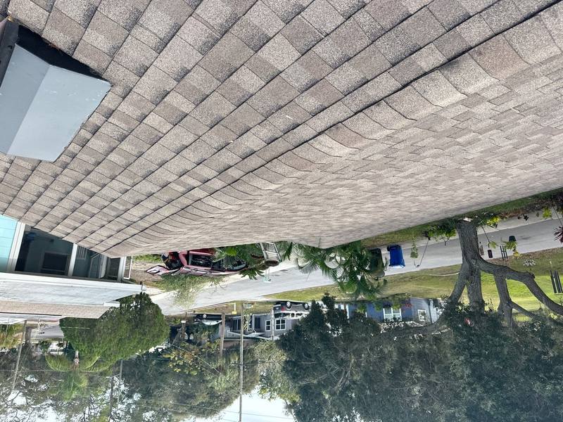 residential shingle roof replacement by Hloska Roofing in Dunedin