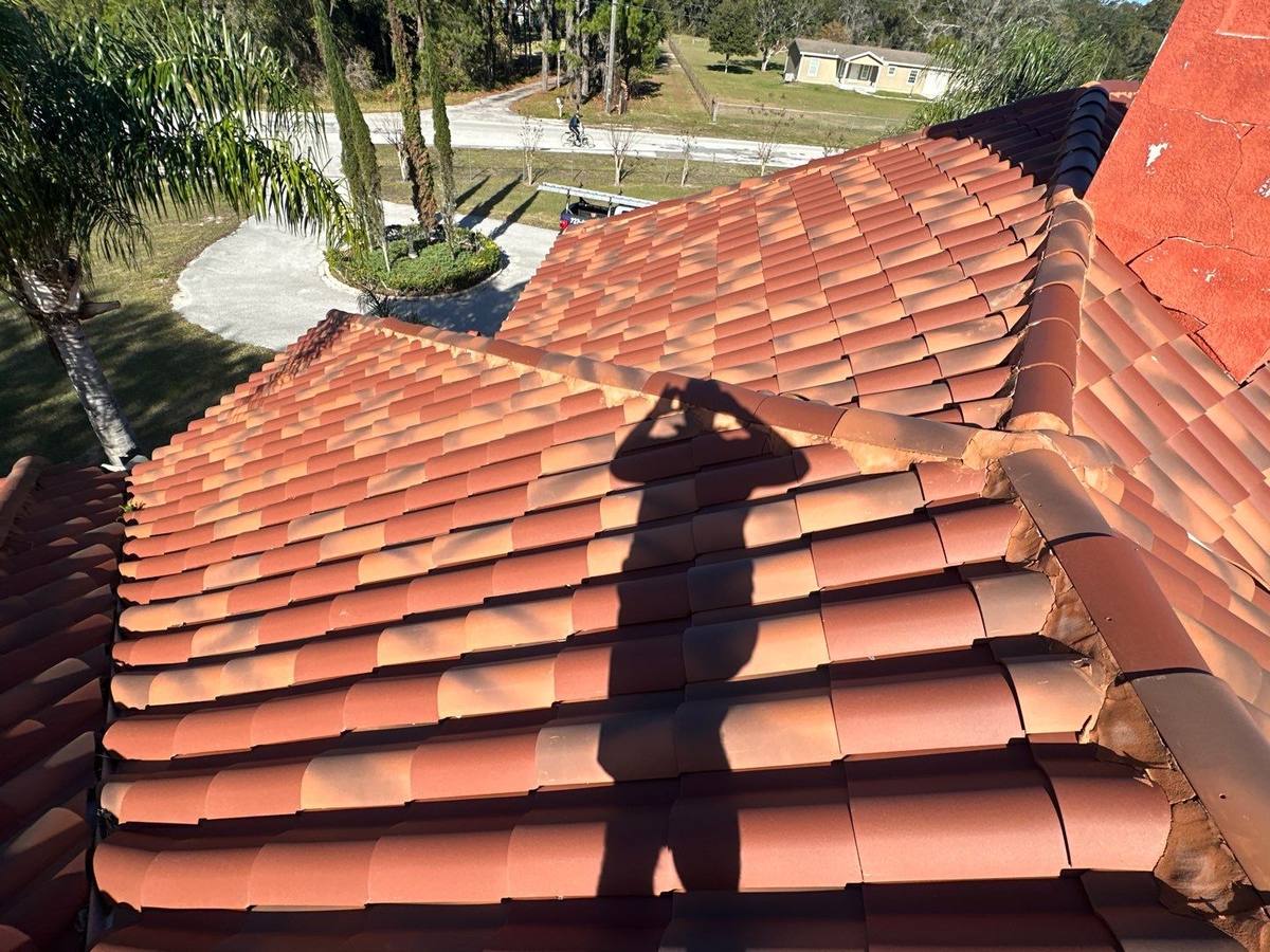 roof replacement in Spring Hill, Florida